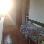 شقة Milka